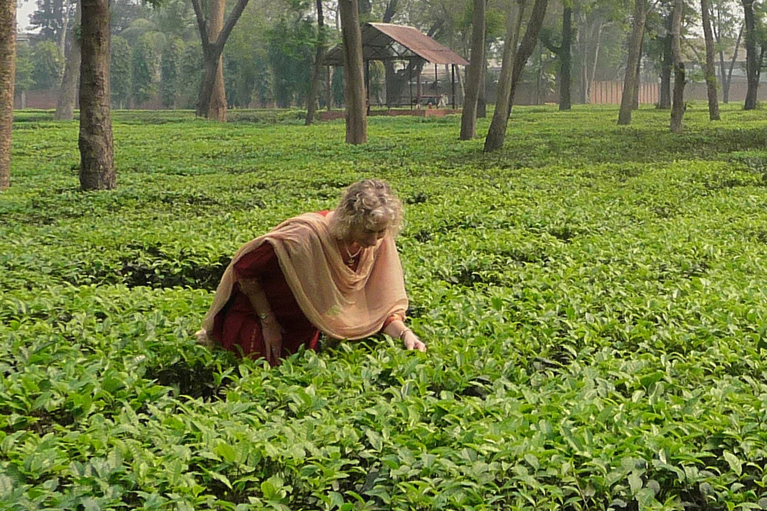 Honoring Barbara : A Journey from Passion to Purpose