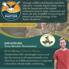 A promotional graphic for 'Peace and Chai Month' by the Cascades Raptor Center, featuring a man wearing a beanie and face mask, a coffee cup, and text about wildlife rehabilitation and team member nomination. The Blue Lotus Chai logo is also shown.